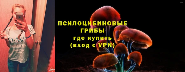ПСИЛОЦИБИНОВЫЕ ГРИБЫ Балашиха