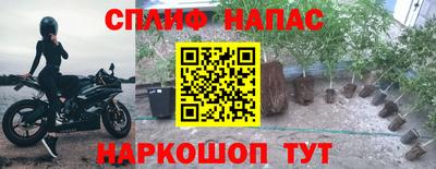 ПСИЛОЦИБИНОВЫЕ ГРИБЫ Балаково