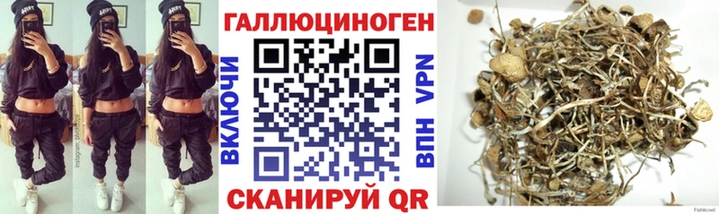 Галлюциногенные грибы мухоморы  купить наркотики цена  MEGA   Всеволожск 