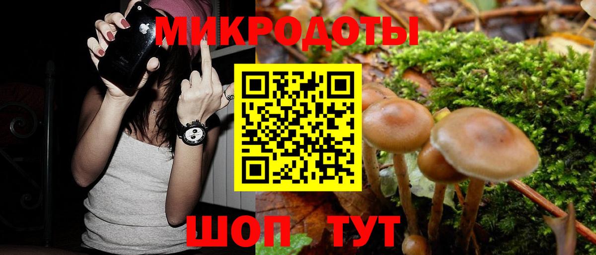 Псилоцибиновые грибы MAGIC MUSHROOMS Всеволожск