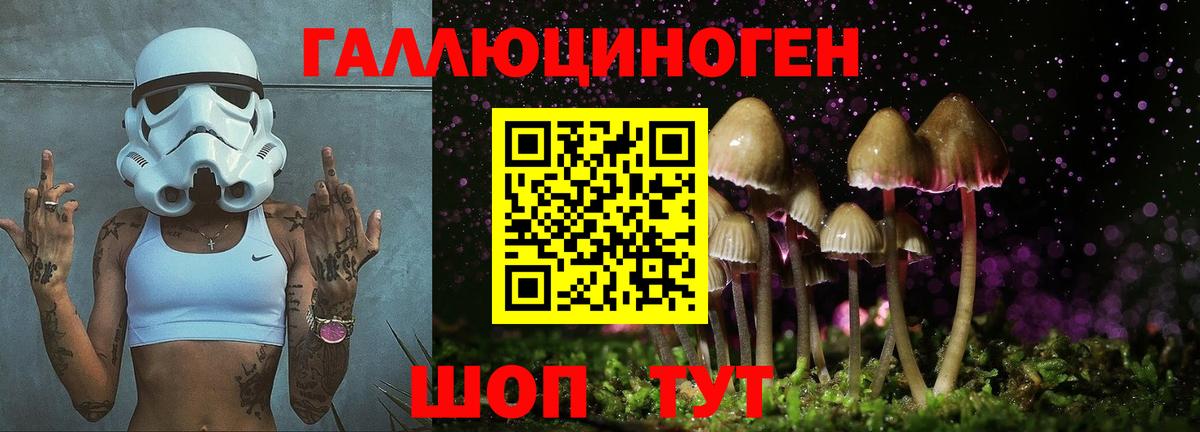 что такое наркотик  Всеволожск  Псилоцибиновые грибы Psilocybine cubensis 