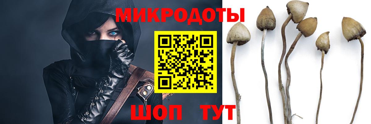 Галлюциногенные грибы Magic Shrooms  продажа наркотиков  Всеволожск  Вход с VPN  Галлюциногенные грибы Psilocybine cubensis 